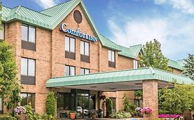 Comfort Inn Utica United States